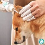 قیمت و خرید اینترنتی دستکش انگشتی لاتکس