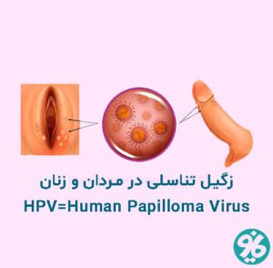 HPV چیست