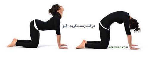 جا انداختن دنبالچه