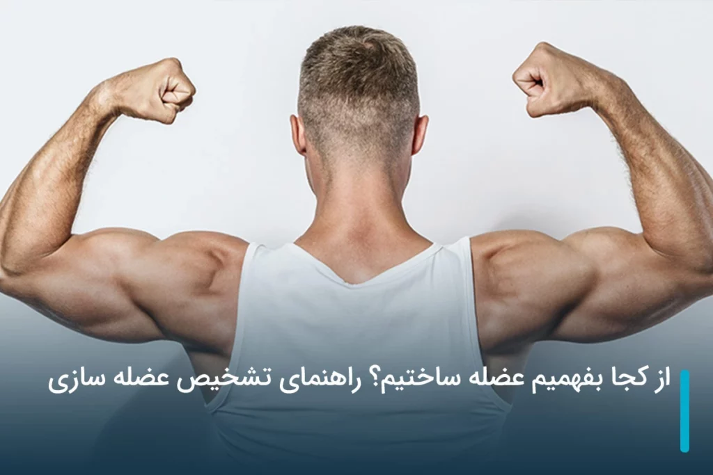 از کجا بفهمیم عضله ساختیم؟ راهنمای تشخیص عضله سازی