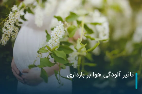 تاثیر آلودگی هوا بر بارداری