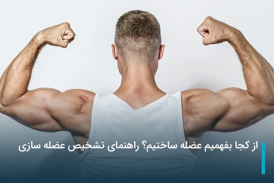 از کجا بفهمیم عضله ساختیم؟ راهنمای تشخیص عضله سازی