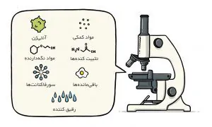درباره اجزای مهم واکسن بیشتر بدانید
