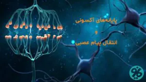 عص شناسی
